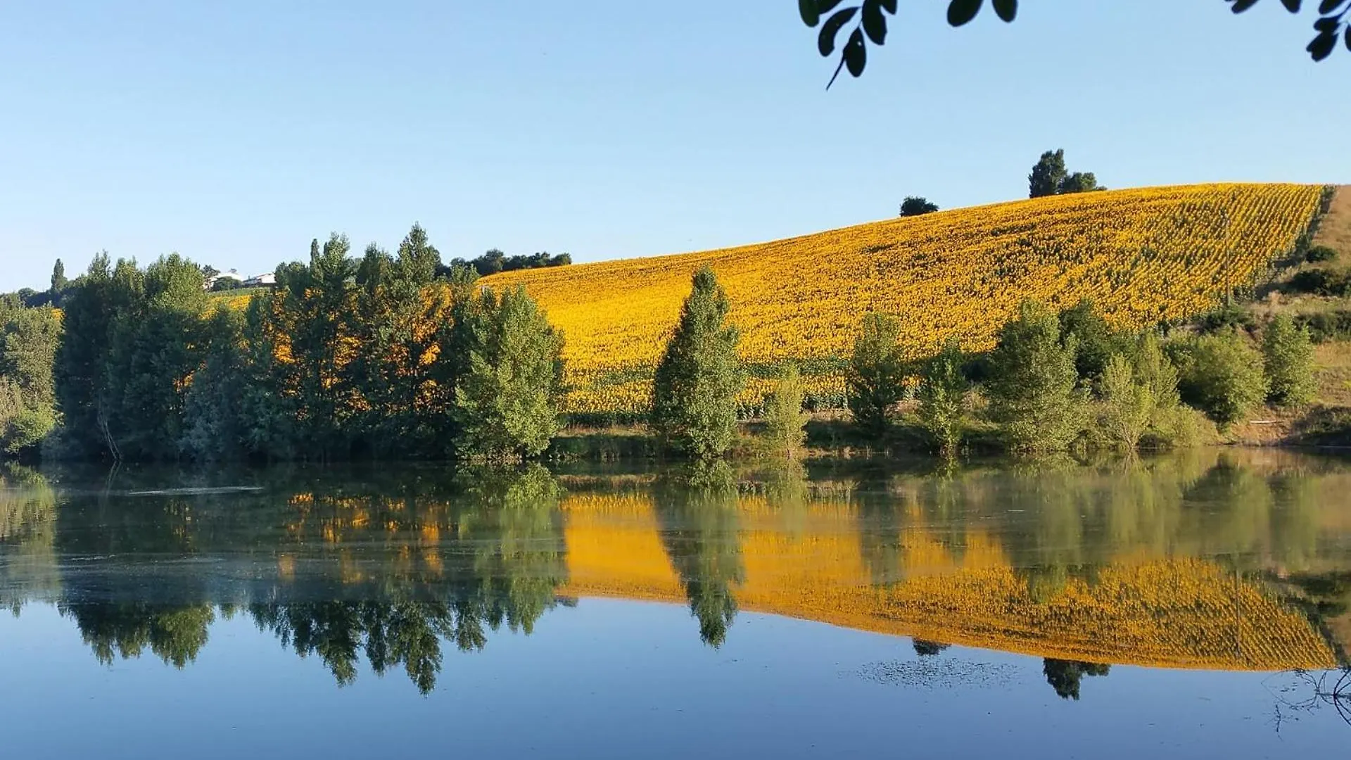 Le Couloumier Cote Lac Caignac 프랑스